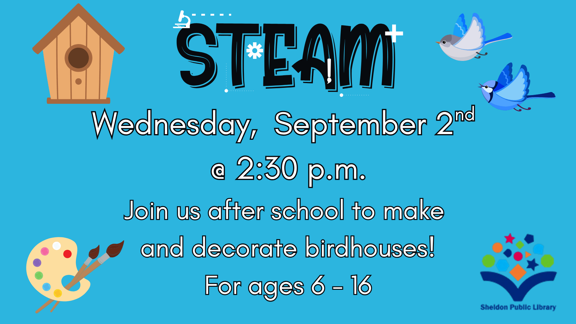 Steam, Birdhouses